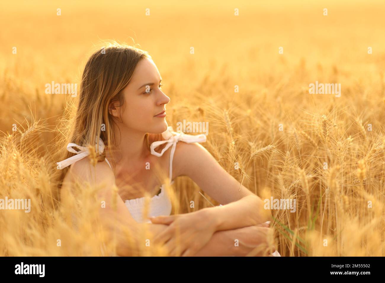 Donna che contempla viste seduti in un campo di grano dorato Foto Stock