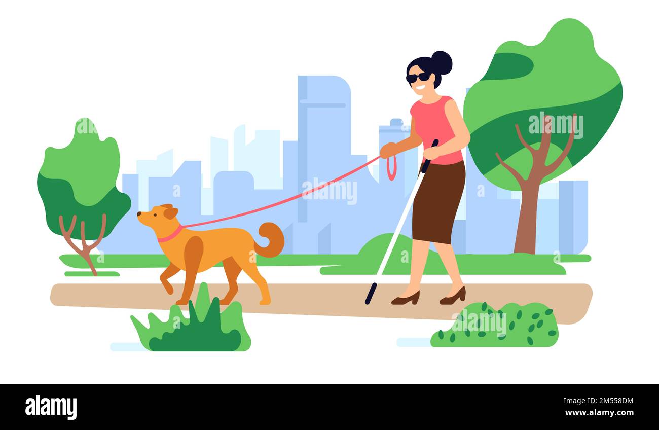 Donna cieca con cane guida cammina nel parco. Passeggiate all'aperto per disabili. Animale domestico femminile portatrice di handicap. Disabilità visiva. Animale addestrato compagno Illustrazione Vettoriale