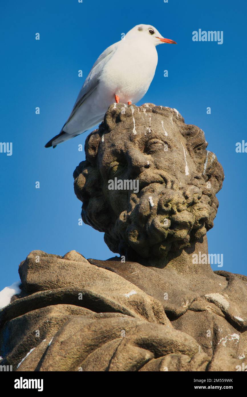 Statua di San Jude Thaddeus sul ponte Carlo, Praga. Repubblica Ceca. Foto Stock