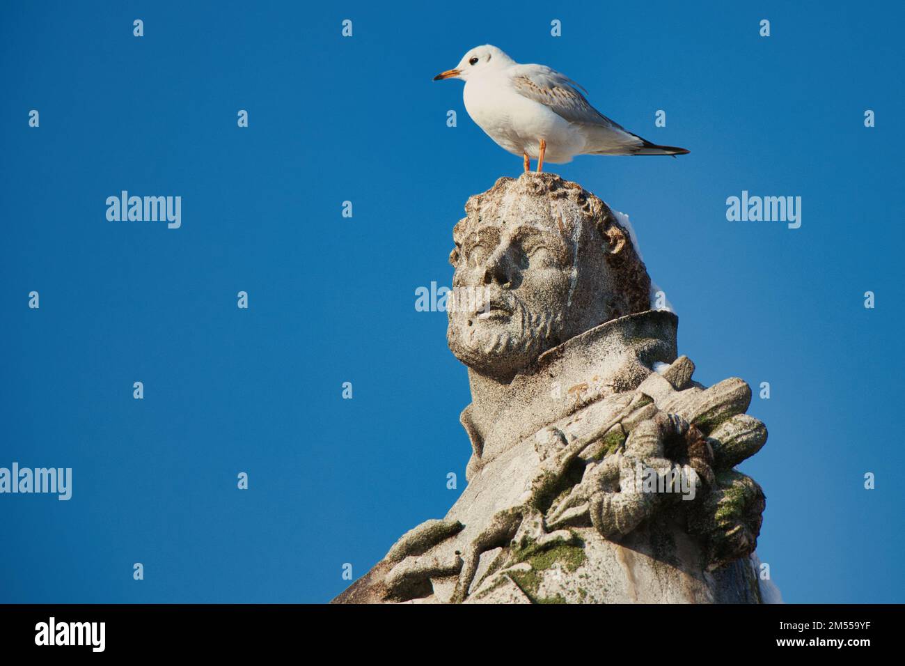 Statua di San Philip Benitius sul ponte Carlo, Praga. Repubblica Ceca. Foto Stock
