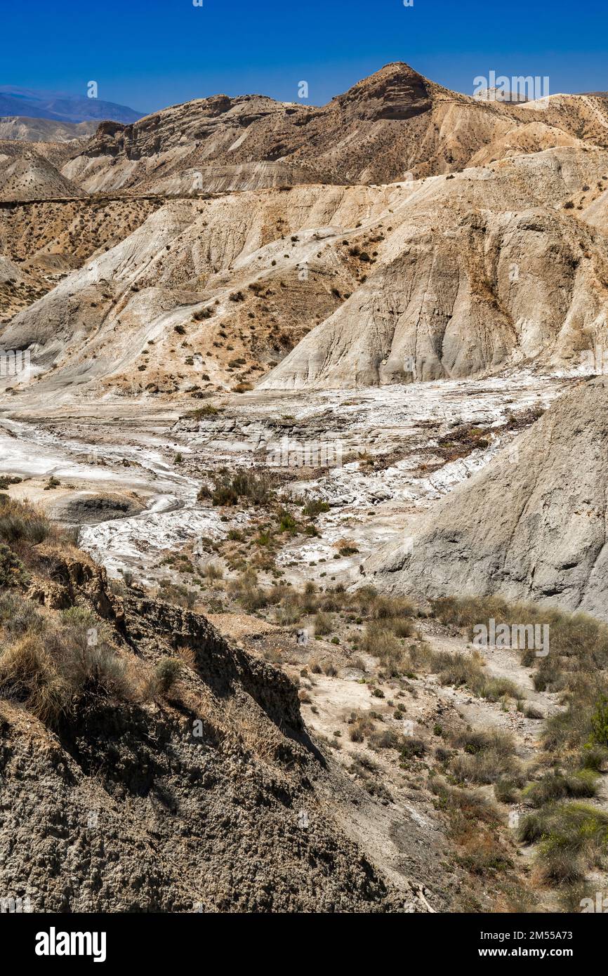 Riserva naturale del deserto di Tabernas, Area di protezione speciale, Regione climatica del deserto caldo, Tabernas, Almería, Andalucía, Spagna, Europa Foto Stock