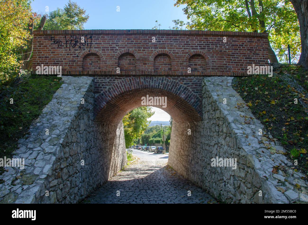 Cracovia, il parco di Zakrzowek e i luoghi vicini in una calda giornata di sole Foto Stock