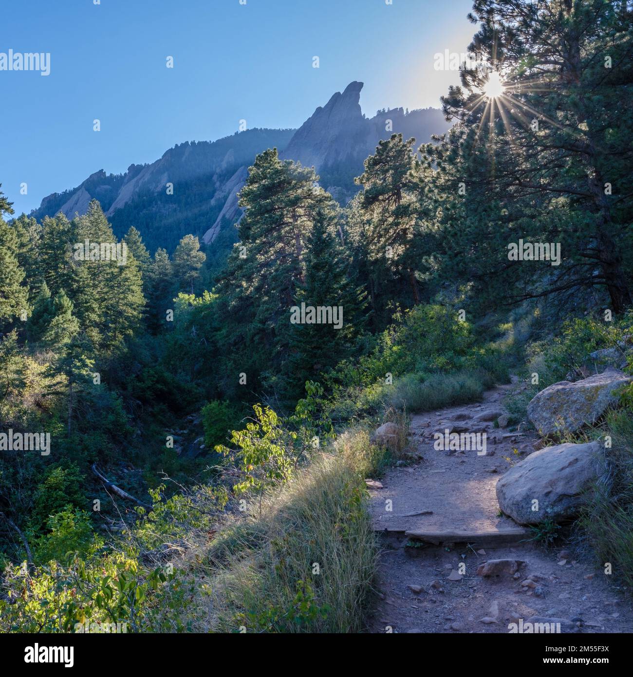Un sentiero montano vicino ai Flatirons a Boulder, Colorado, con il pollice del diavolo visibile Foto Stock