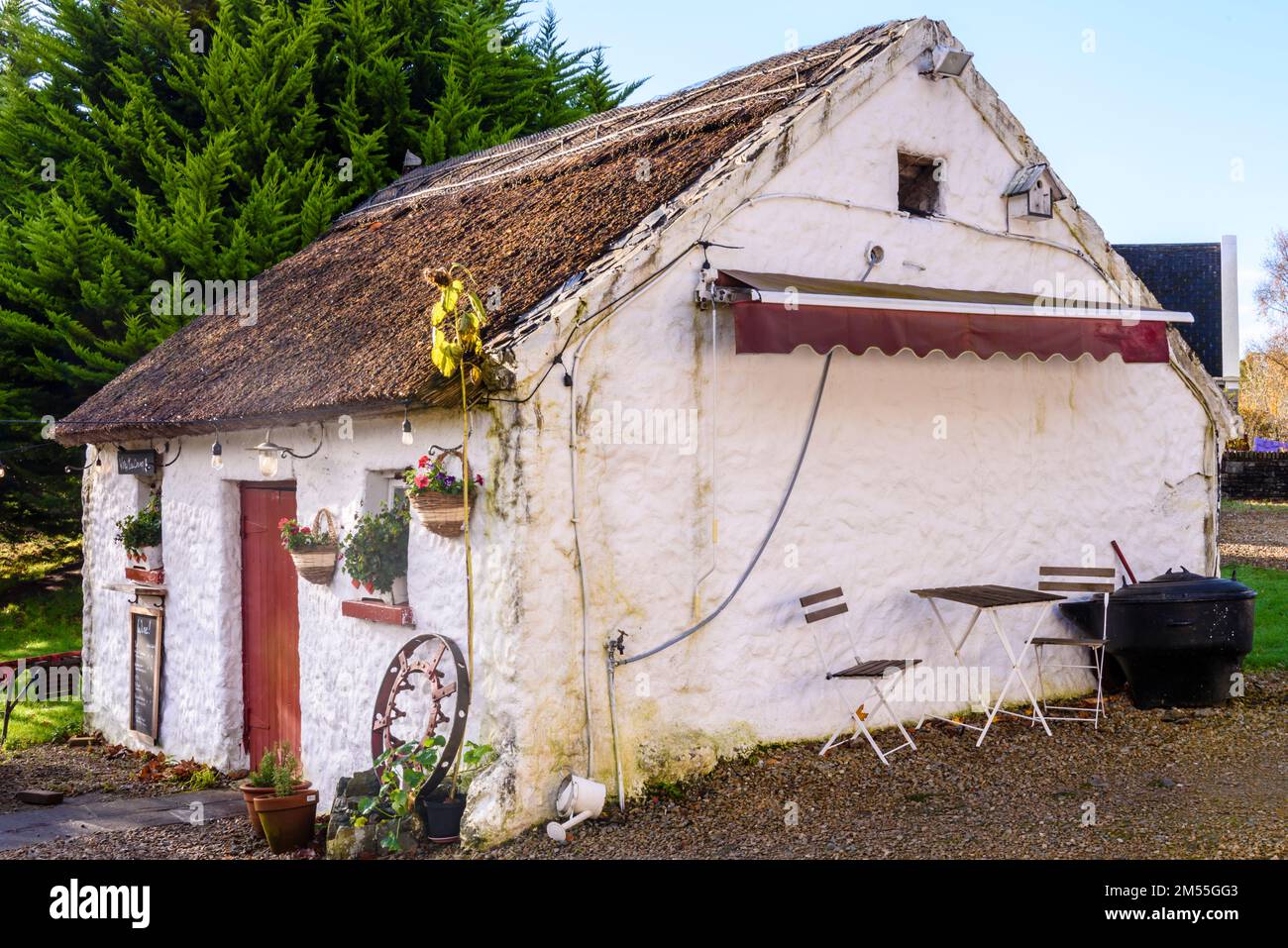 Grazioso cottage irlandese imbiancato, attualmente in uso come caffetteria e caffetteria, Kilmacreenan, County Donegal, Repubblica d'Irlanda. Foto Stock