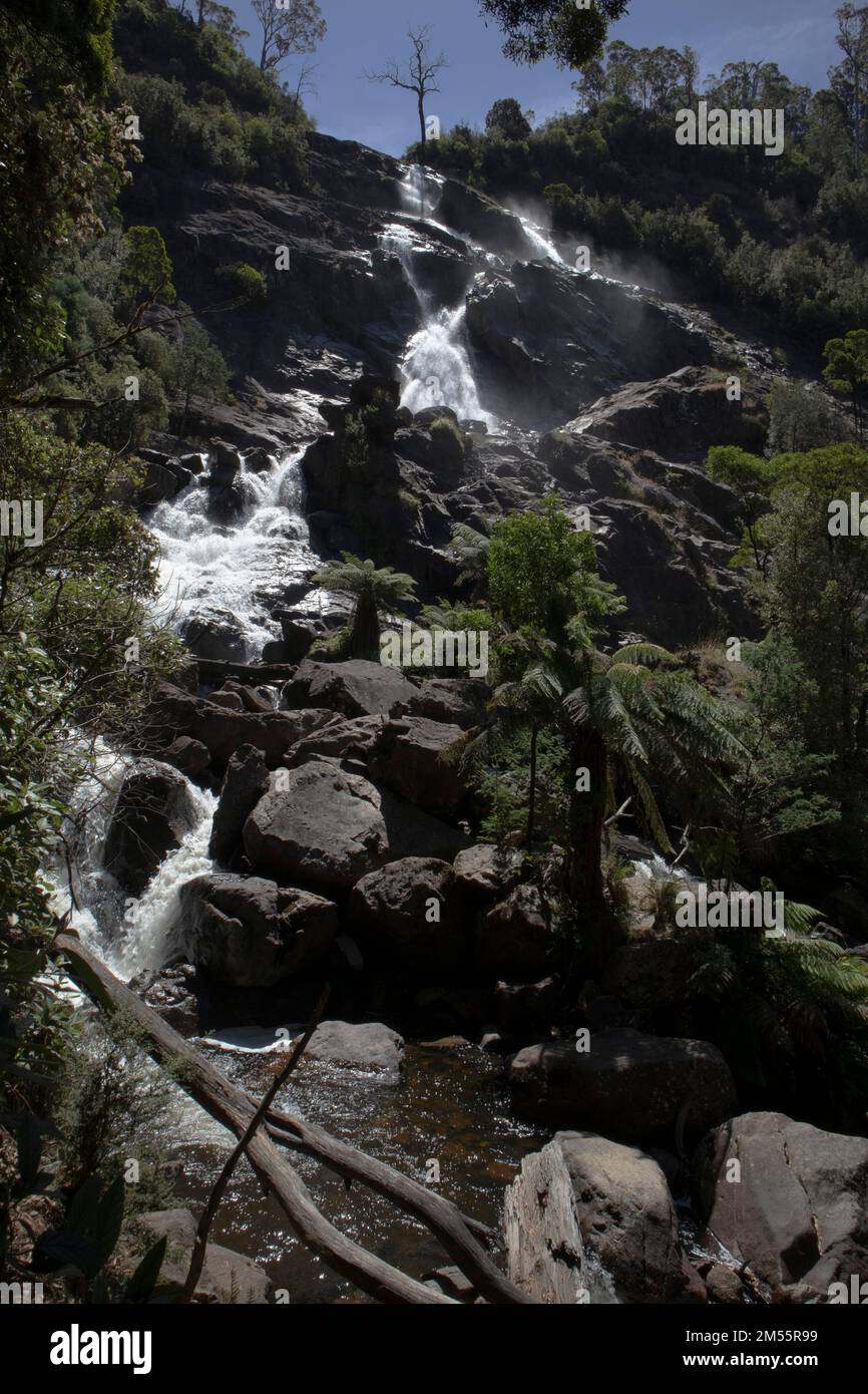 Cascate di St Columbia, Tasmania, Australia. Le cascate più alte della Tasmania con una caduta di 90 metri Foto Stock