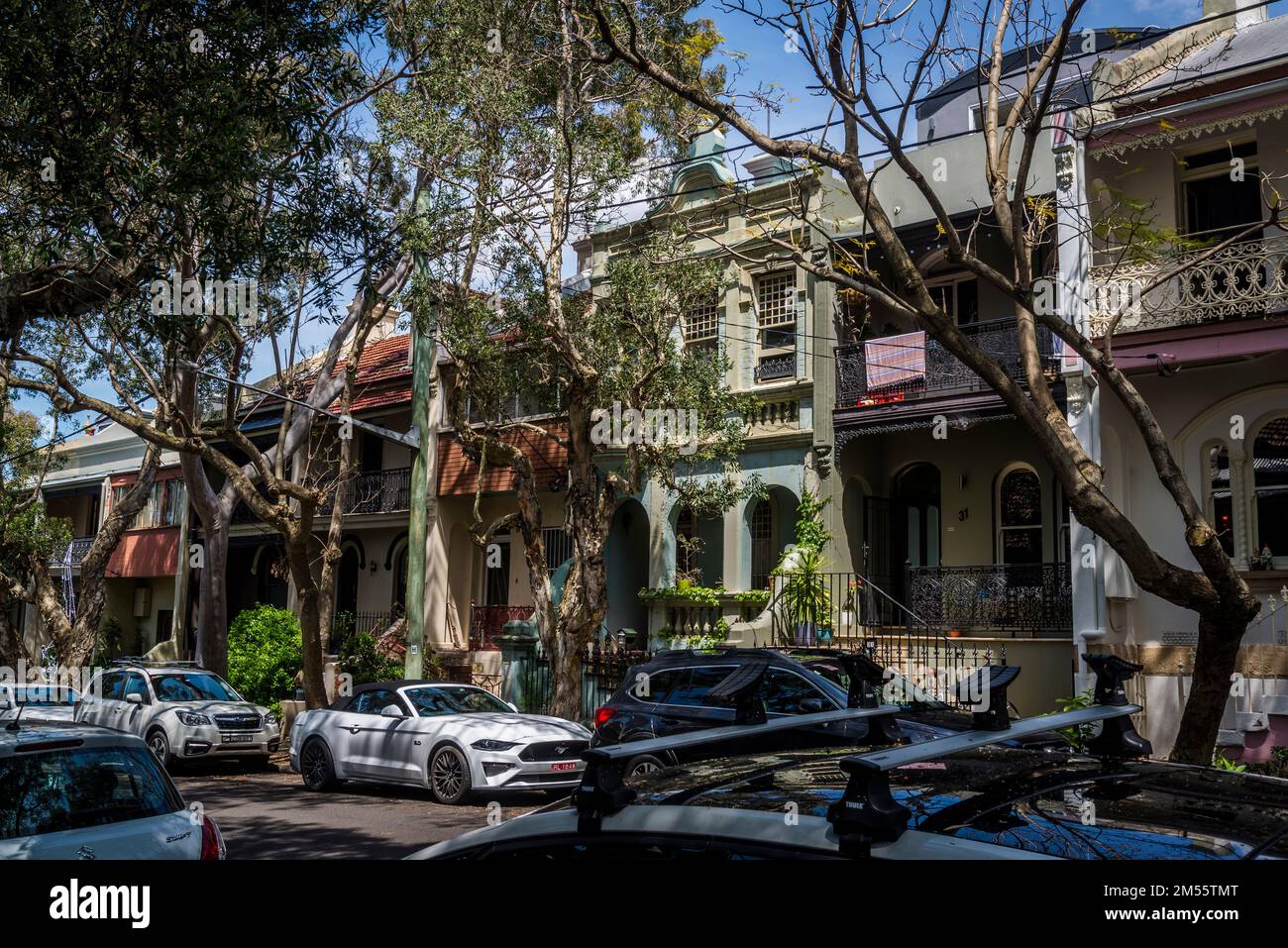 Tranquilla strada residenziale a Newtown, un popolare sobborgo ovest interno, Sydney, NSW, Australia Foto Stock