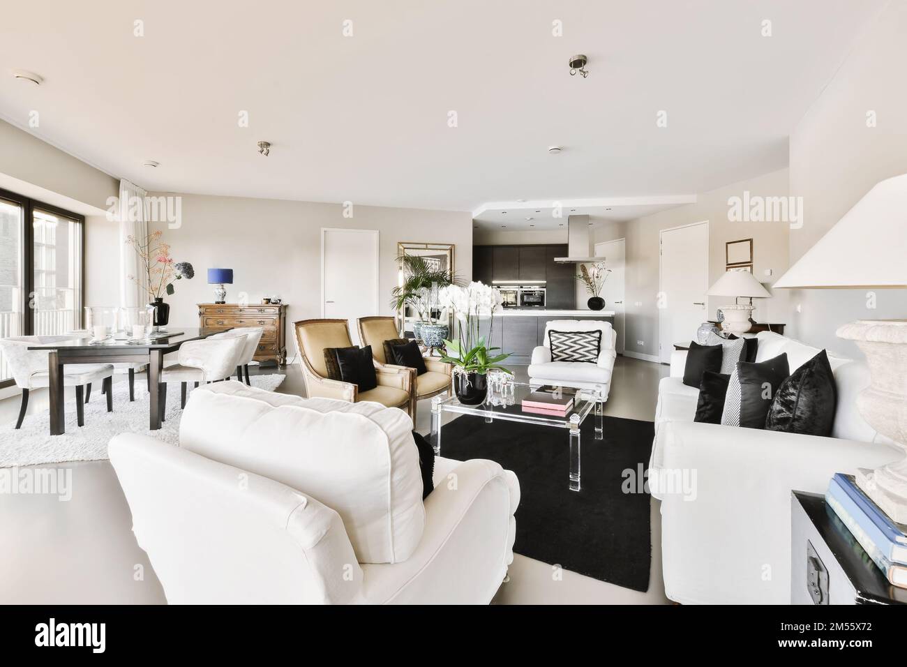 un soggiorno con divani bianchi e tappeti neri sul pavimento di fronte al  divano è un camino aperto Foto stock - Alamy