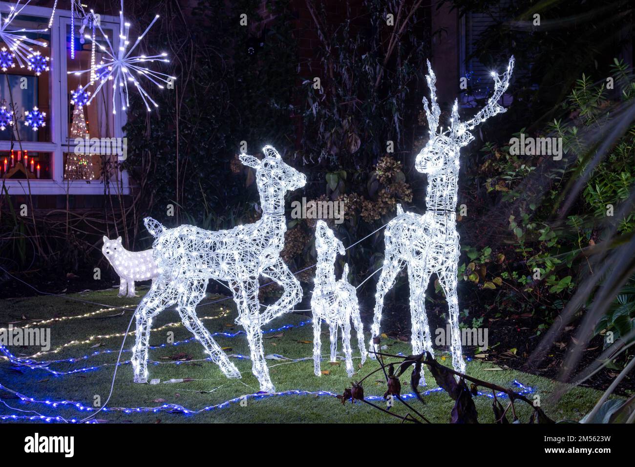 Una famiglia di renne tra le decorazioni natalizie al di fuori di un edificio di appartamenti nel Regno Unito di notte. Foto Stock