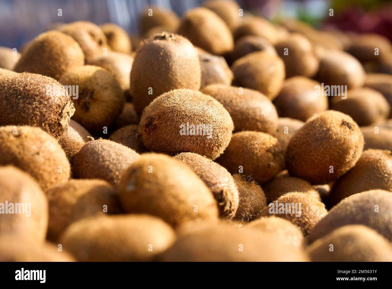Primo piano di kiwi in vendita sul mercato. Foto Stock