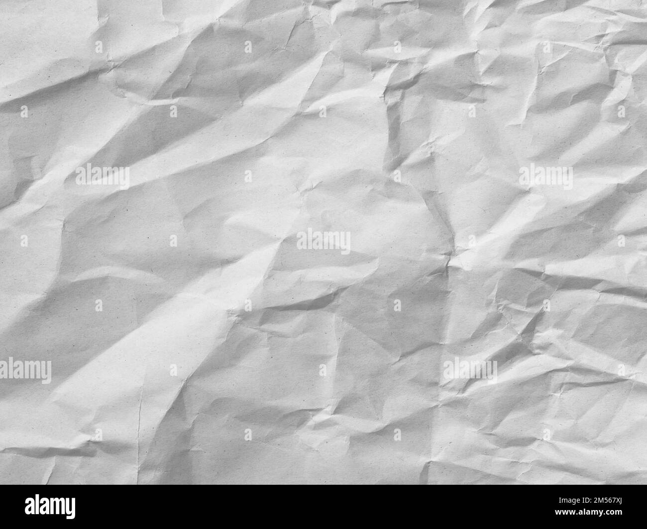 Sfondo texture bianco. Carta stropicciata. Bianco e nero. Foto Stock