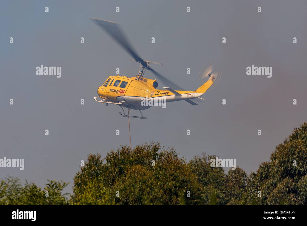 Un elicottero antincendio huey sopra gli alberi verdi Foto Stock