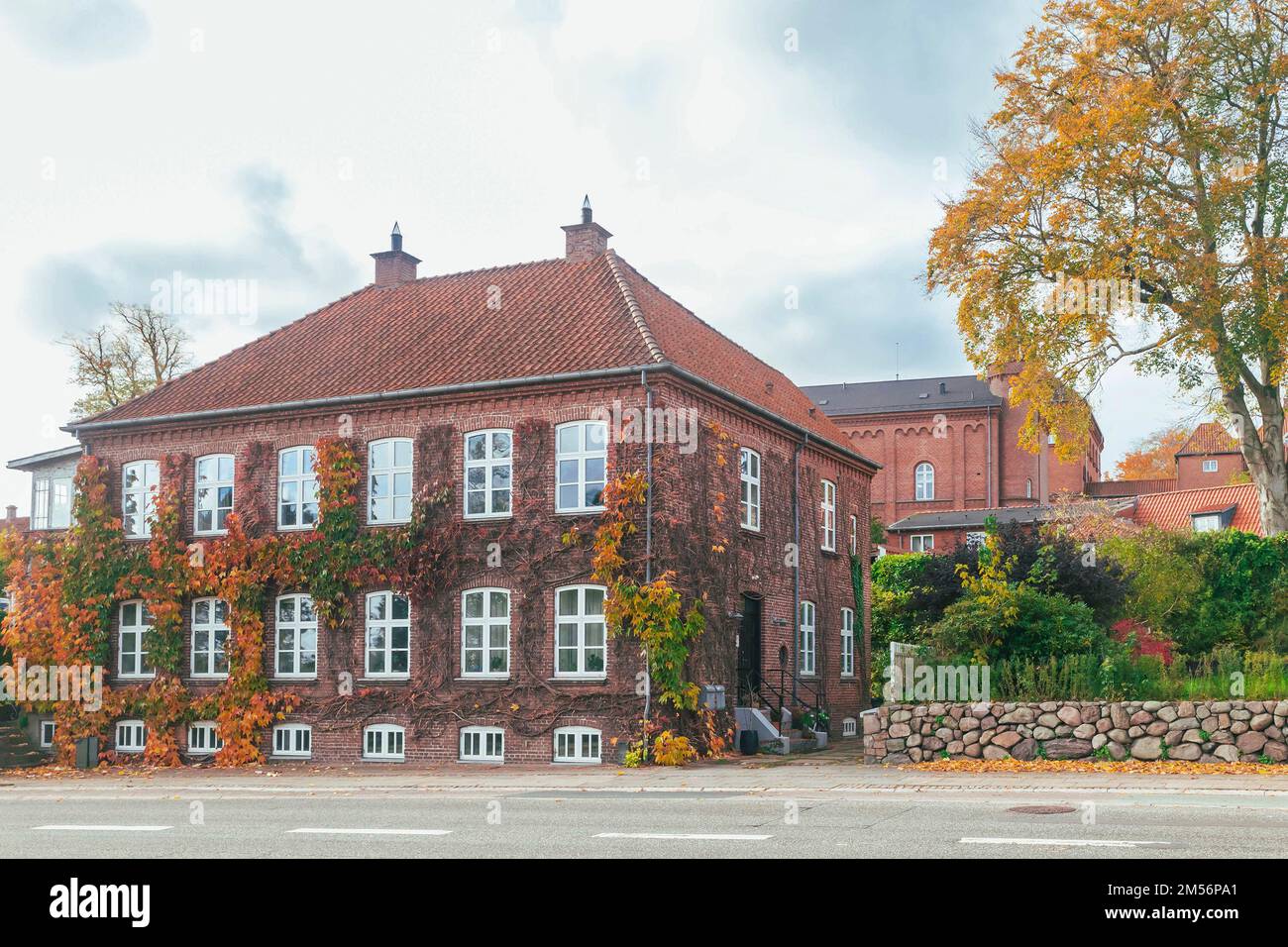 Bella casa di tenement cresciuto con edera selvatica in autunno Danimarca Foto Stock