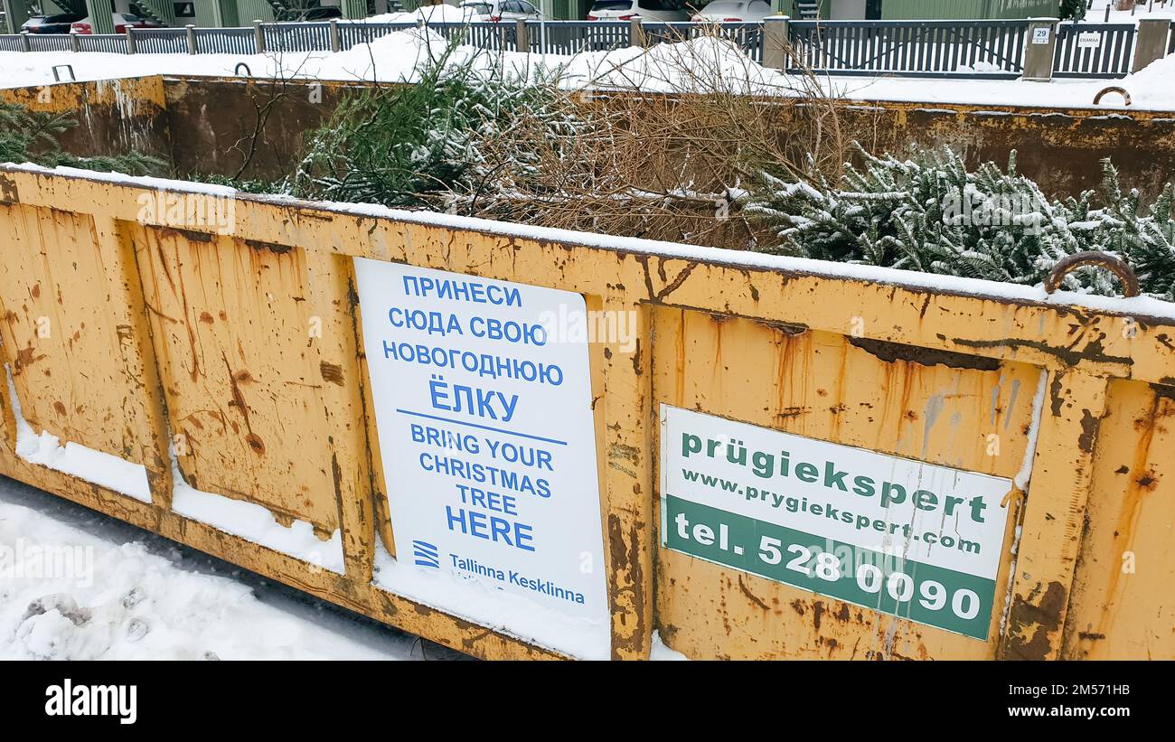 Tallinn, Estonia - 22 gennaio 2022: Grande contenitore per rifiuti su una strada cittadina per consentire alle persone di portare i loro vecchi alberi di Natale. Servizio municipale gratuito Foto Stock