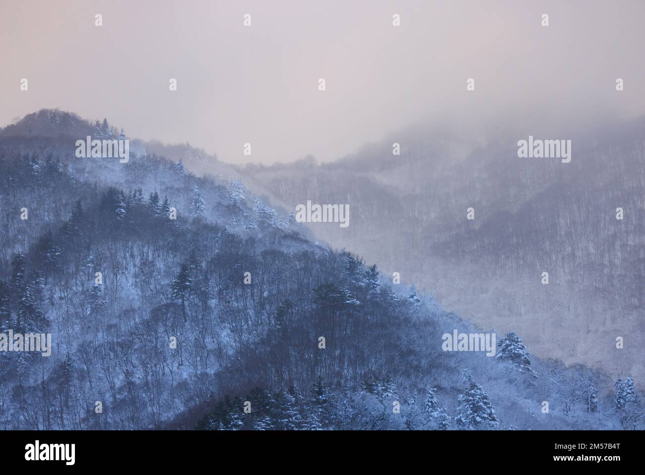 Bassa nebbia sul paesaggio innevato di montagna con il colore del tramonto Foto Stock