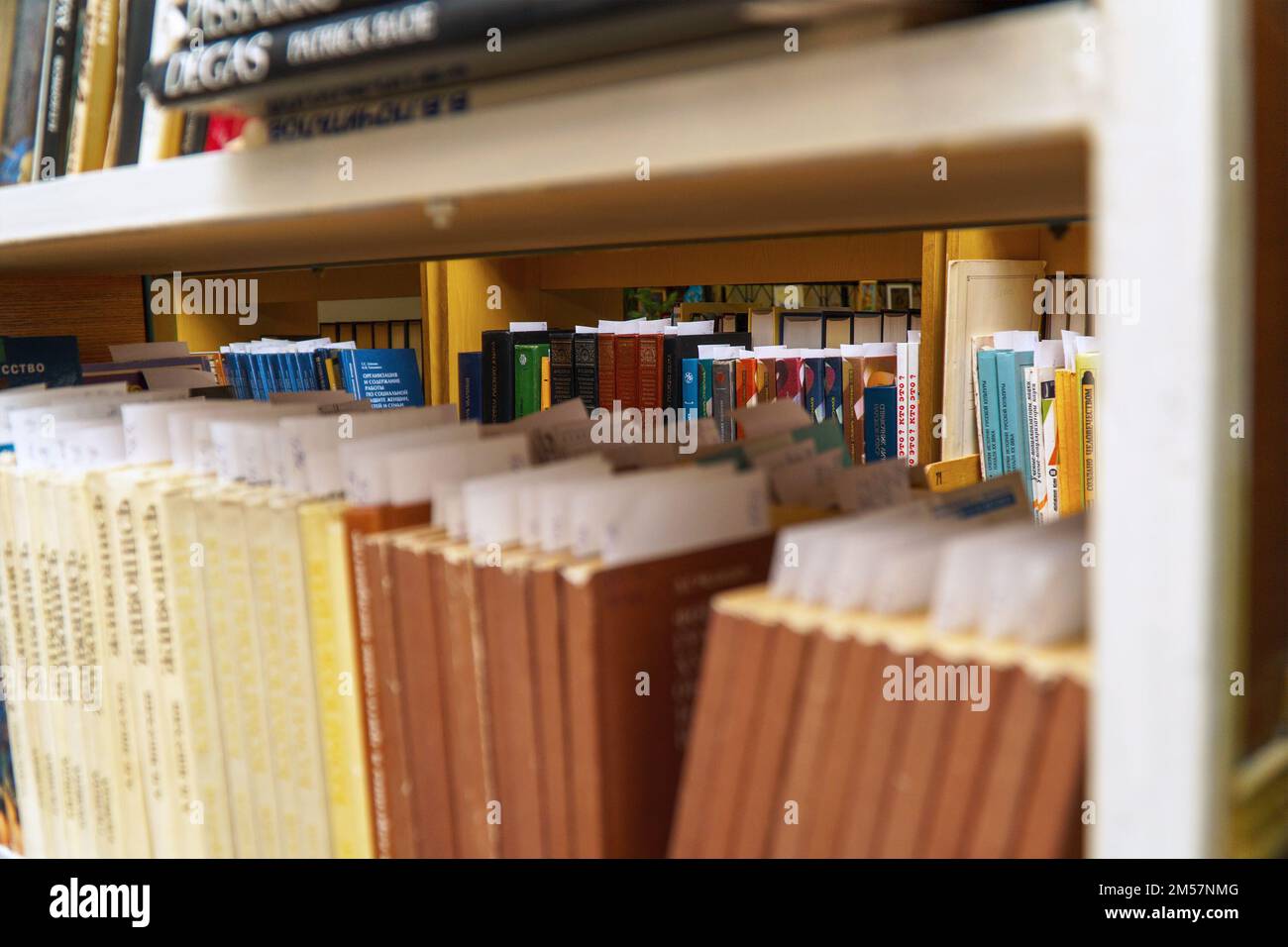Chapaevsk, regione di Samara, Russia - 24 dicembre 2020: Libri su uno scaffale in biblioteca. Messa a fuoco selettiva Foto Stock