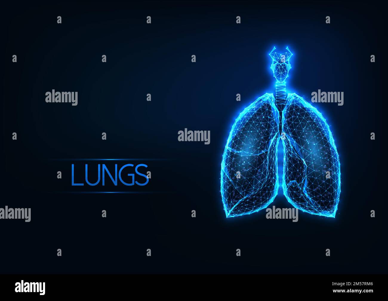 Ologramma futuristico dei polmoni anatomici poligonali bassi e luminosi su sfondo blu scuro. Tecnologie di diagnostica medica. Design moderno a reticolo Illustrazione Vettoriale