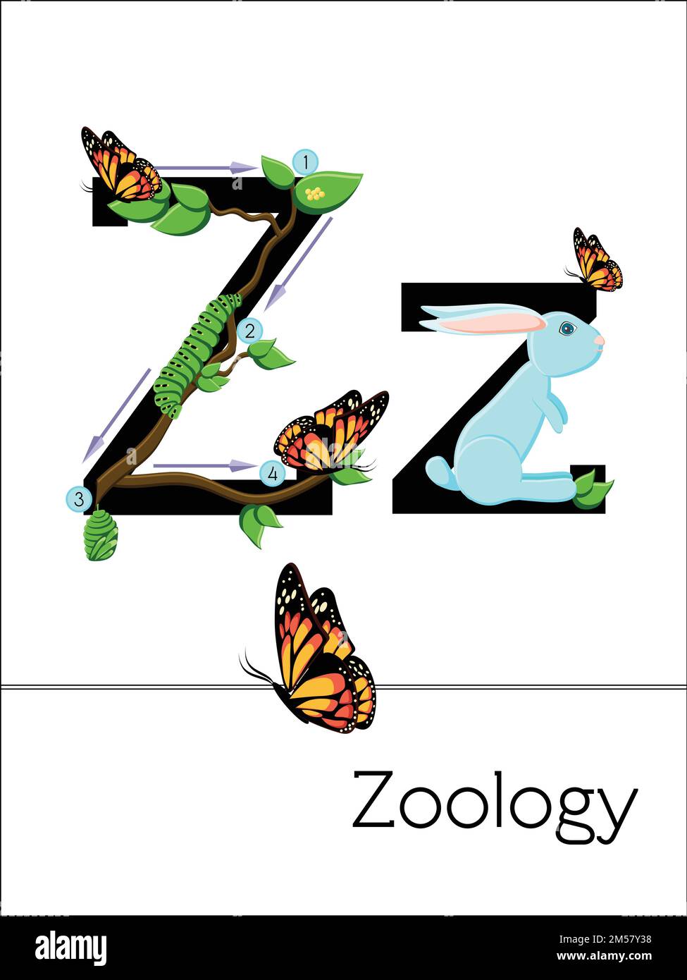 La lettera Z della scheda flash è destinata allo Zoologia. Alfabeto scientifico per bambini. Serie di schede flash ABC puzzle. Illustrazione vettoriale del cartone animato in stile piatto. Illustrazione Vettoriale