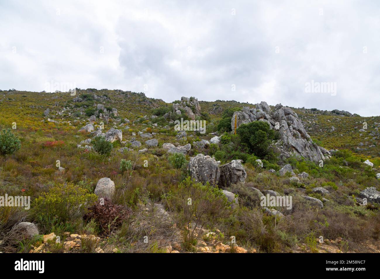 Paesaggio roccioso vicino a Porterville nel Capo Occidentale del Sud Africa Foto Stock