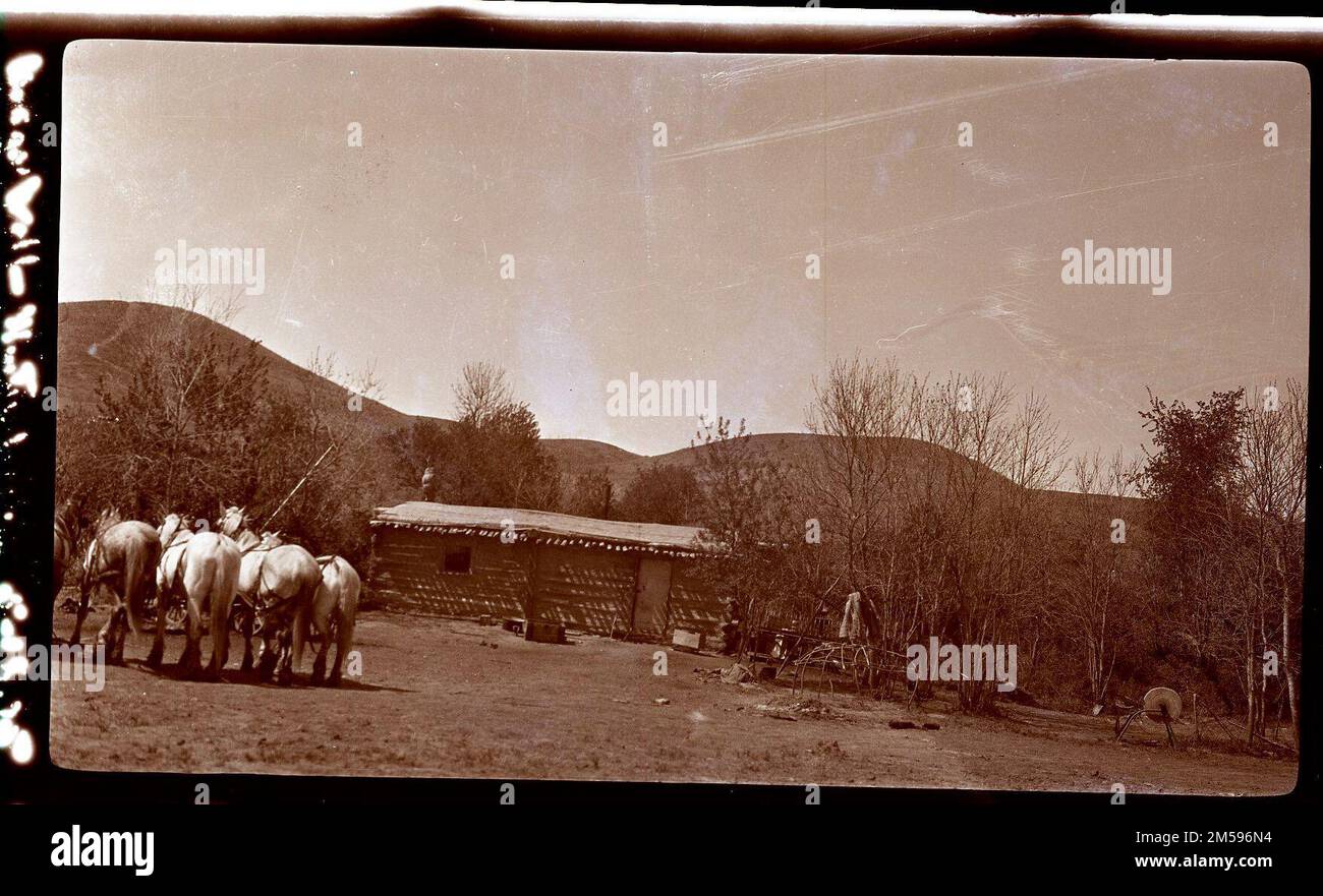 Trascina Wolf House. 1900 - 1960. Regione delle pianure centrali (Kansas City, Missouri). Negativo. Dipartimento dell'interno. Ufficio degli affari indiani. Ufficio dell'area di Aberdeen. Agenzia Fort Berthold. 1949-. Fotografie Foto Stock