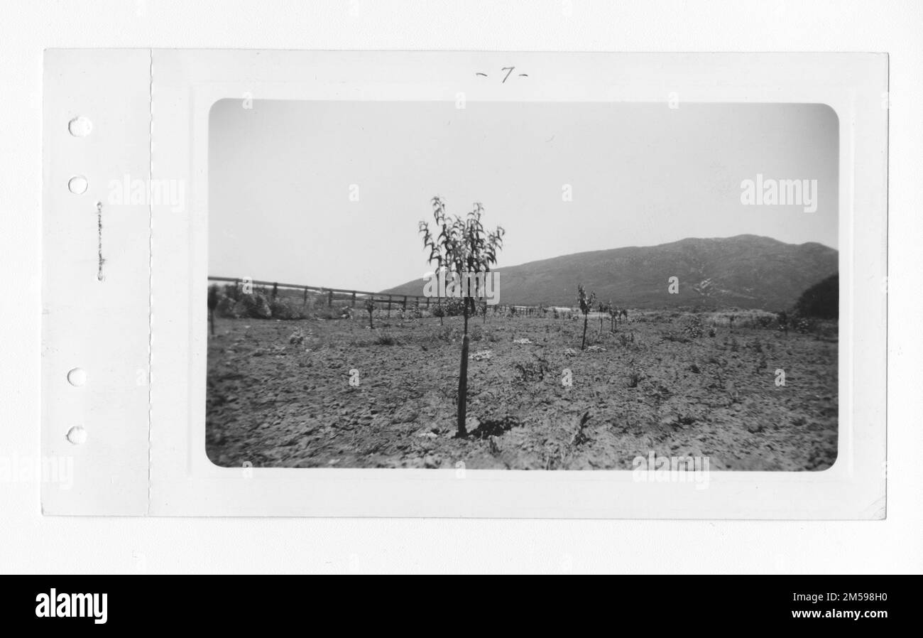 1936 - 1942. Regione del Pacifico (Riverside, CA). Stampa fotografica. Dipartimento dell'interno. Ufficio degli affari indiani. Agenzia di missione. 11/15/1920-6/17/1946. Fotografie Foto Stock