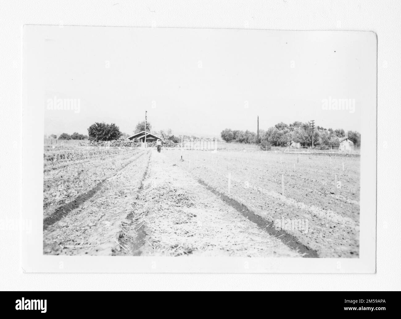 Didascalia originale: 'Misc. Agricoltura". 1936 - 1942. Regione del Pacifico (Riverside, CA). Stampa fotografica. Dipartimento dell'interno. Ufficio degli affari indiani. Agenzia di missione. 11/15/1920-6/17/1946. Fotografie Foto Stock