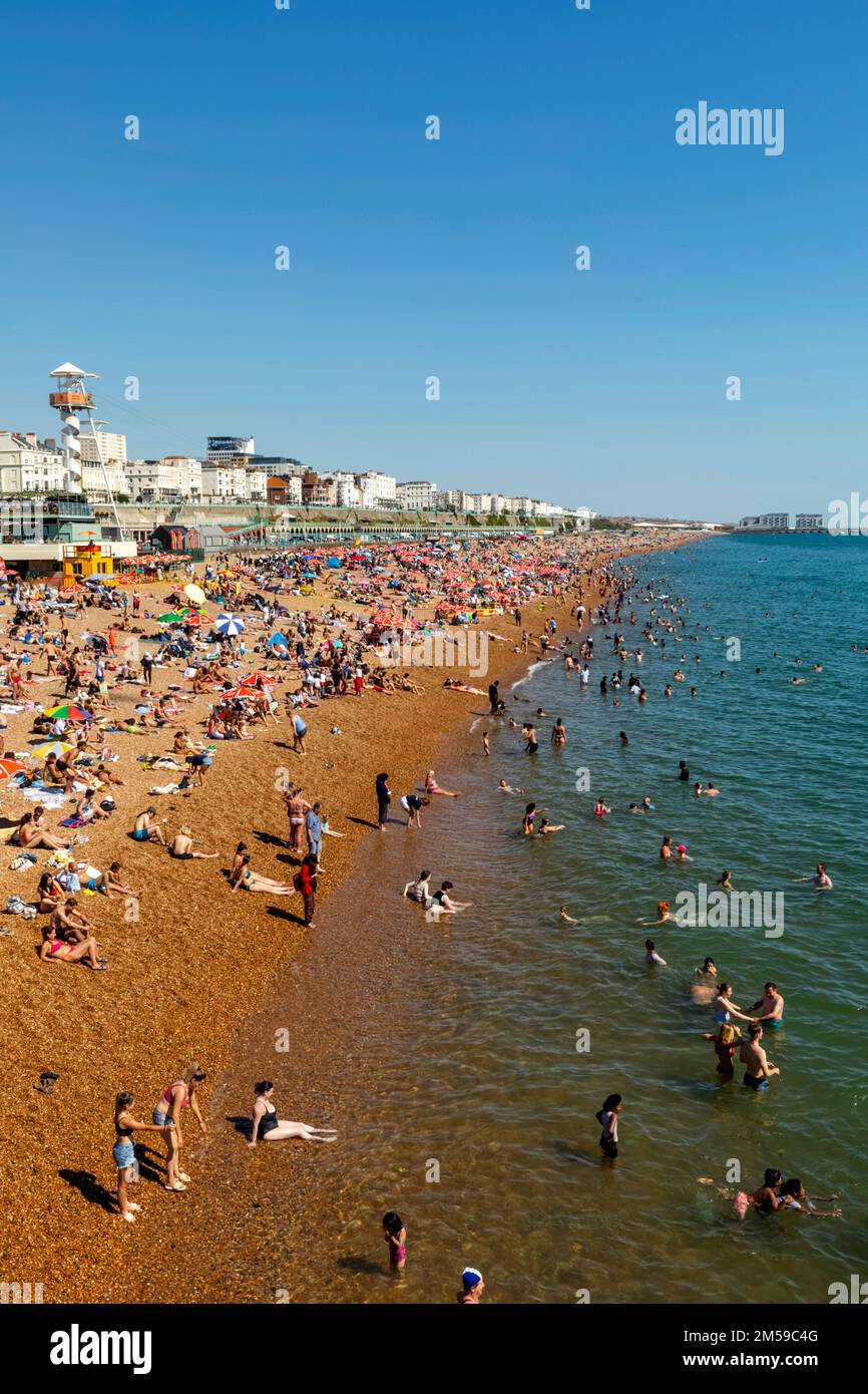 Inghilterra, East Sussex, Brighton, Brighton Beach *** Caption locale *** UK,United Kingdom,Gran Bretagna,Inghilterra,Inglese,British,East Sussex,Brig Foto Stock