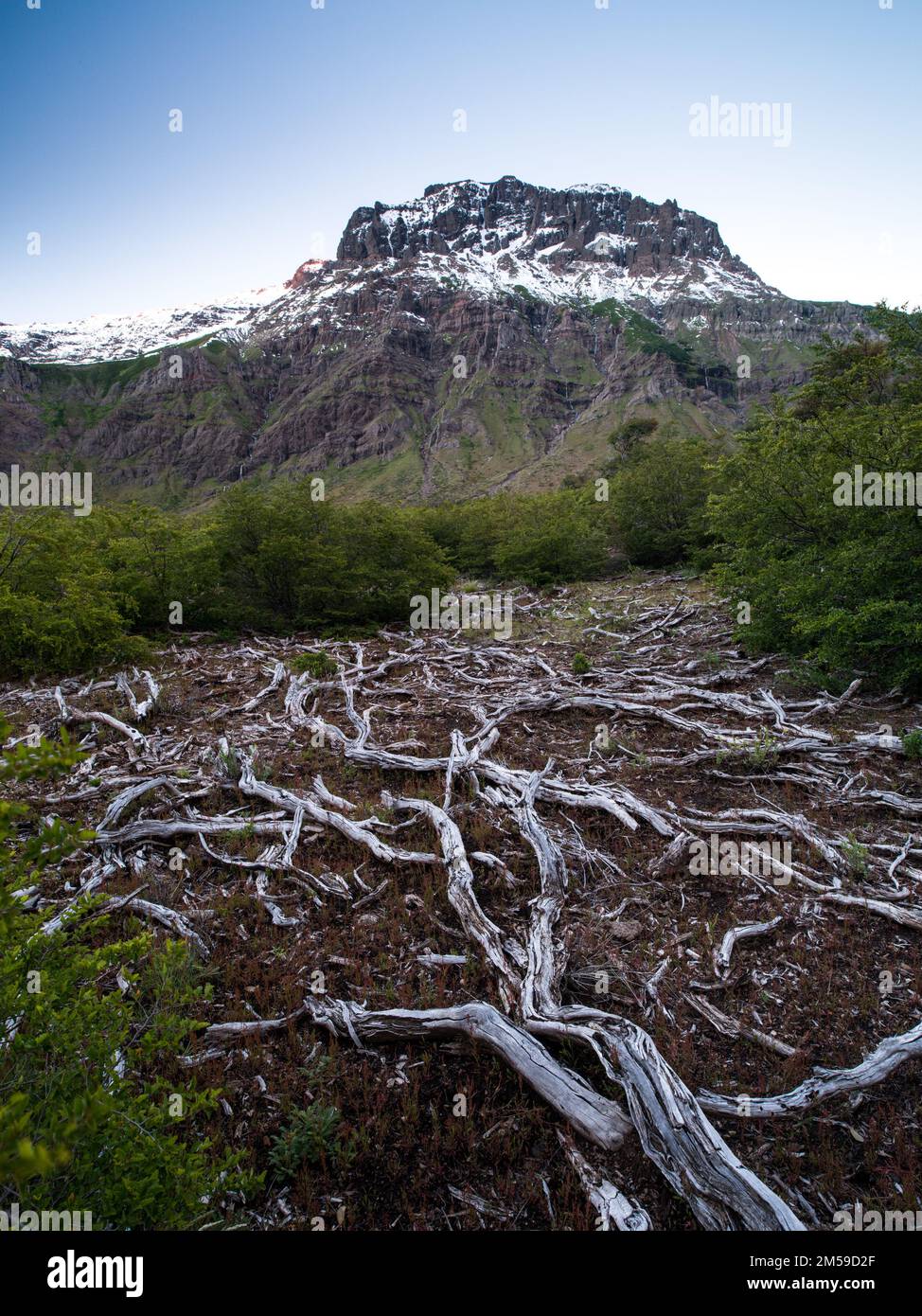 In und um Trapa Trapa, ein Ort in den Anden am Fusse des Copahue Vulkans. Foto Stock