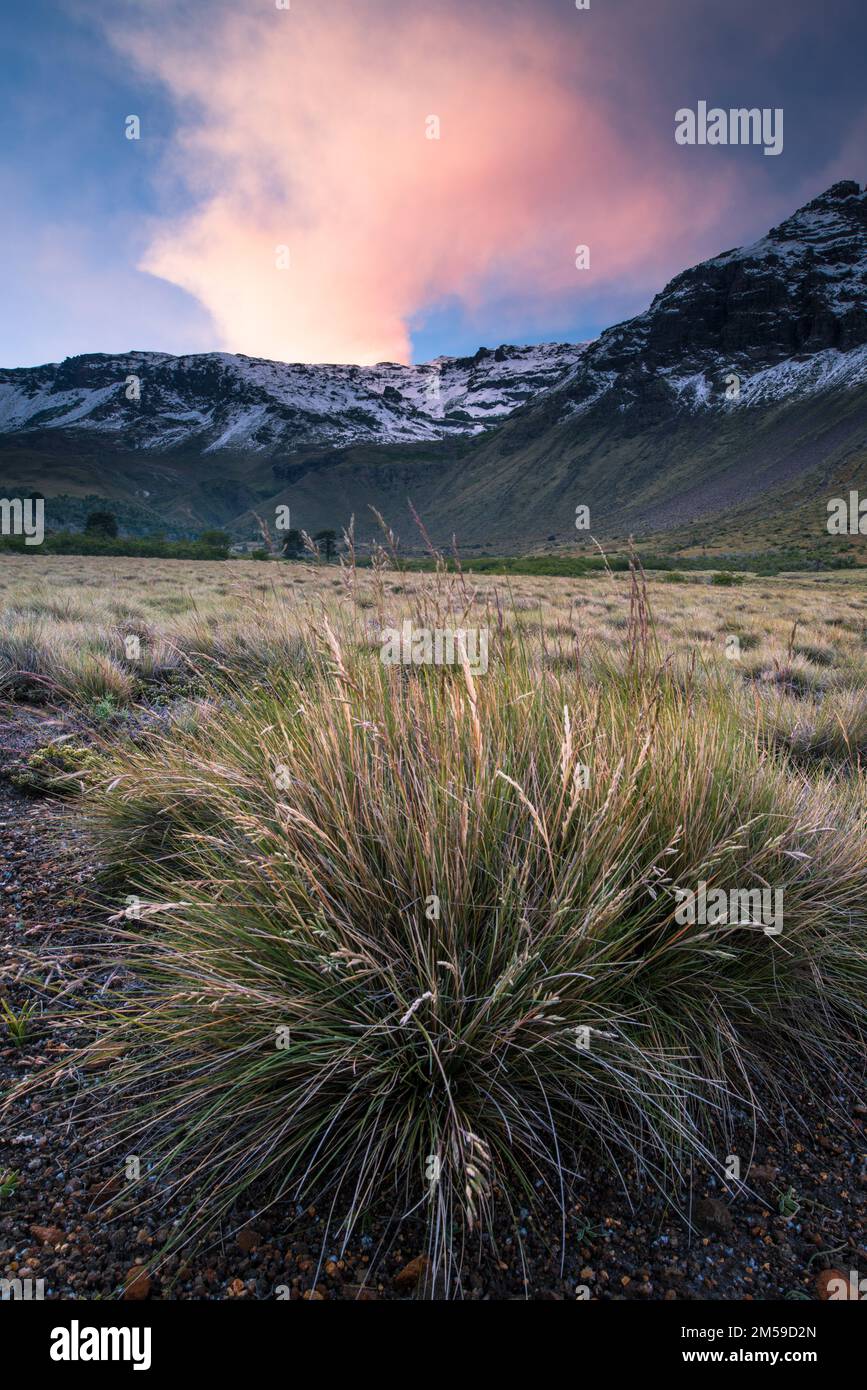 In und um Trapa Trapa, ein Ort in den Anden am Fusse des Copahue Vulkans. Foto Stock