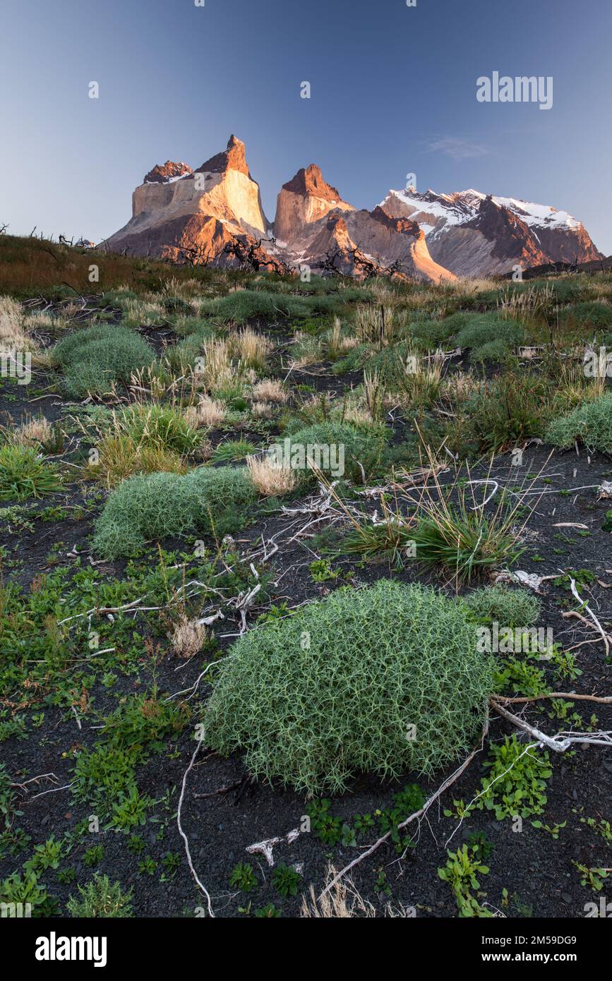 Im Torres del Paine Nationalpark a Süd-Patagonien, Cile. Foto Stock