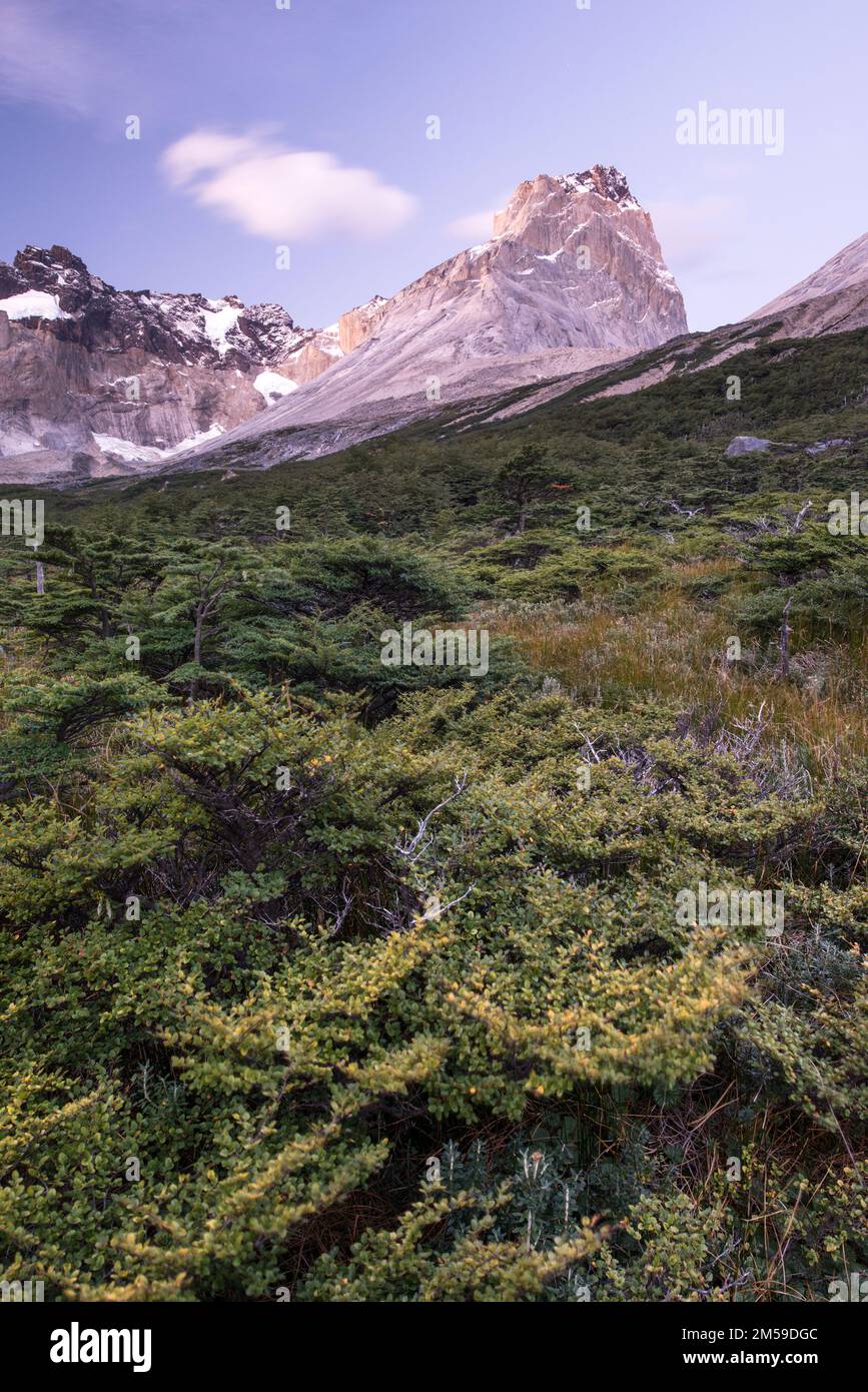 Im Torres del Paine Nationalpark a Süd-Patagonien, Cile. Foto Stock