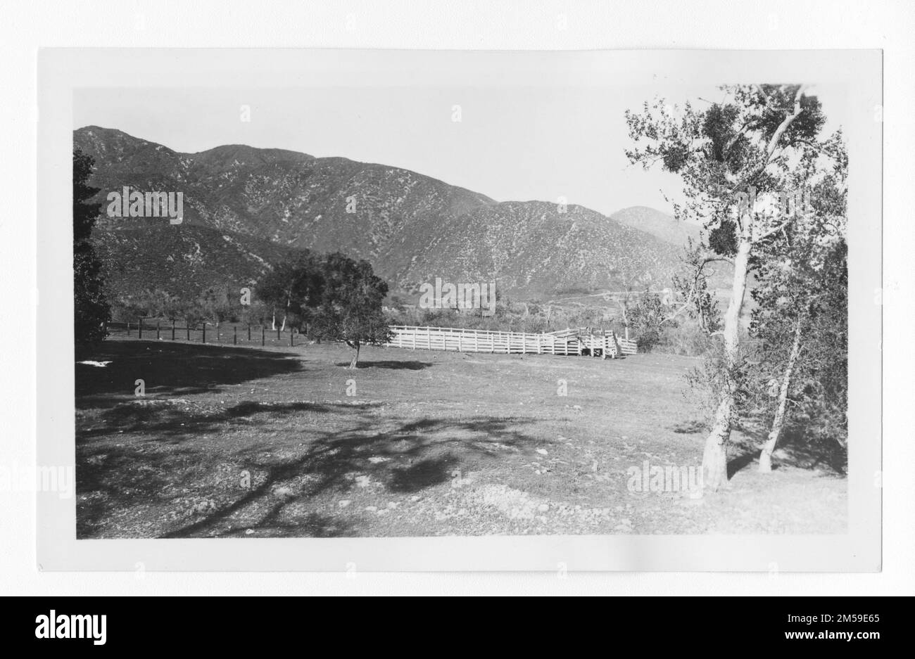 Didascalia originale: 'ECW - Morongo. Rangestock Corral.'. 1936 - 1942. Regione del Pacifico (Riverside, CA). Stampa fotografica. Dipartimento dell'interno. Ufficio degli affari indiani. Agenzia di missione. 11/15/1920-6/17/1946. Fotografie Foto Stock