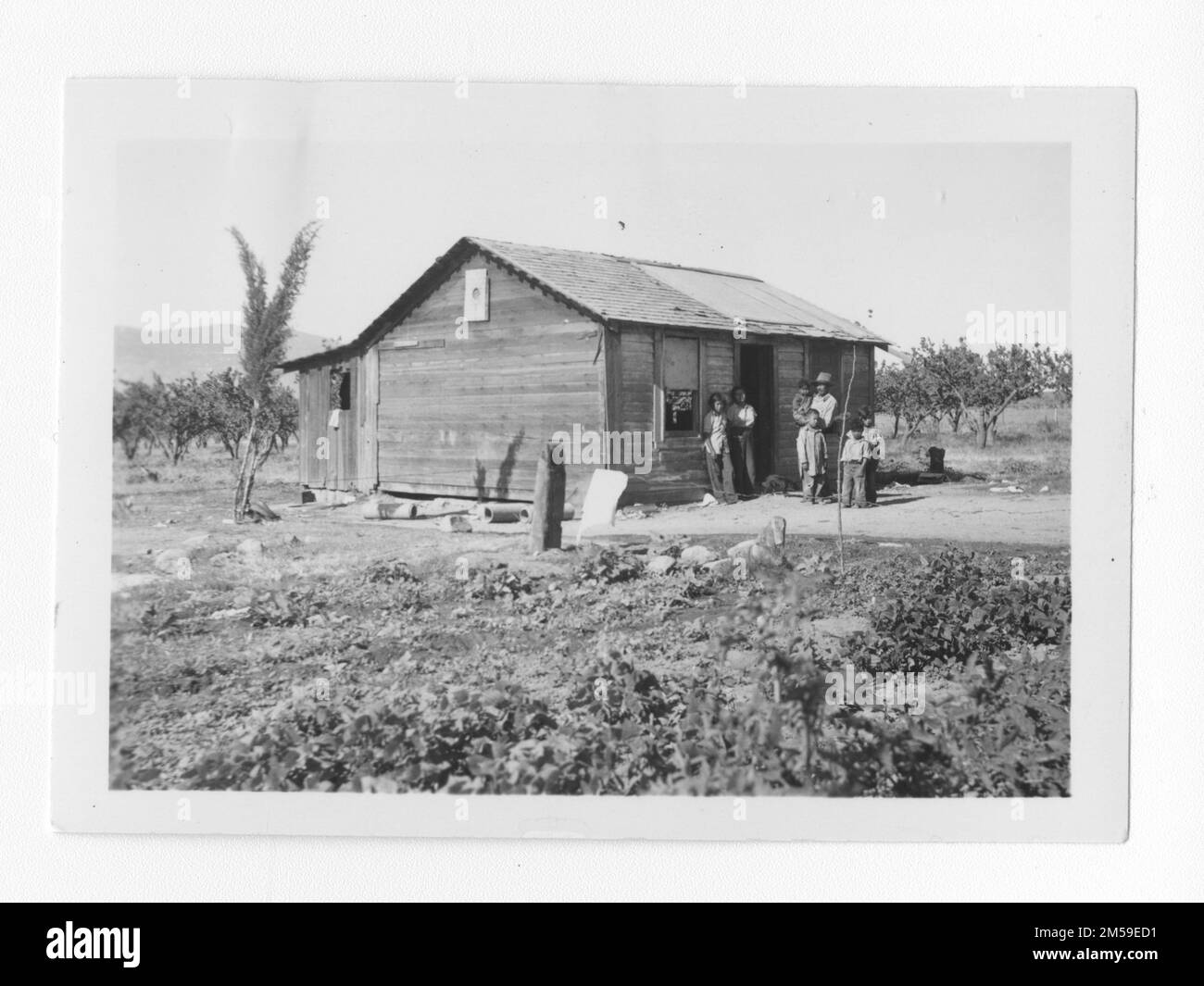 Didascalia originale: 'Joseph Miguel Morongo. Vecchia casa. Appartiene a uno zio della signora Joe [Emma] Miguel, è stato utilizzato dalla famiglia di Joe Miguel di 8 più lo zio. Programma IR&R. Giugno 1937. NN. 61.'. 1936 - 1942. Regione del Pacifico (Riverside, CA). Stampa fotografica. Dipartimento dell'interno. Ufficio degli affari indiani. Agenzia di missione. 11/15/1920-6/17/1946. Fotografie Foto Stock