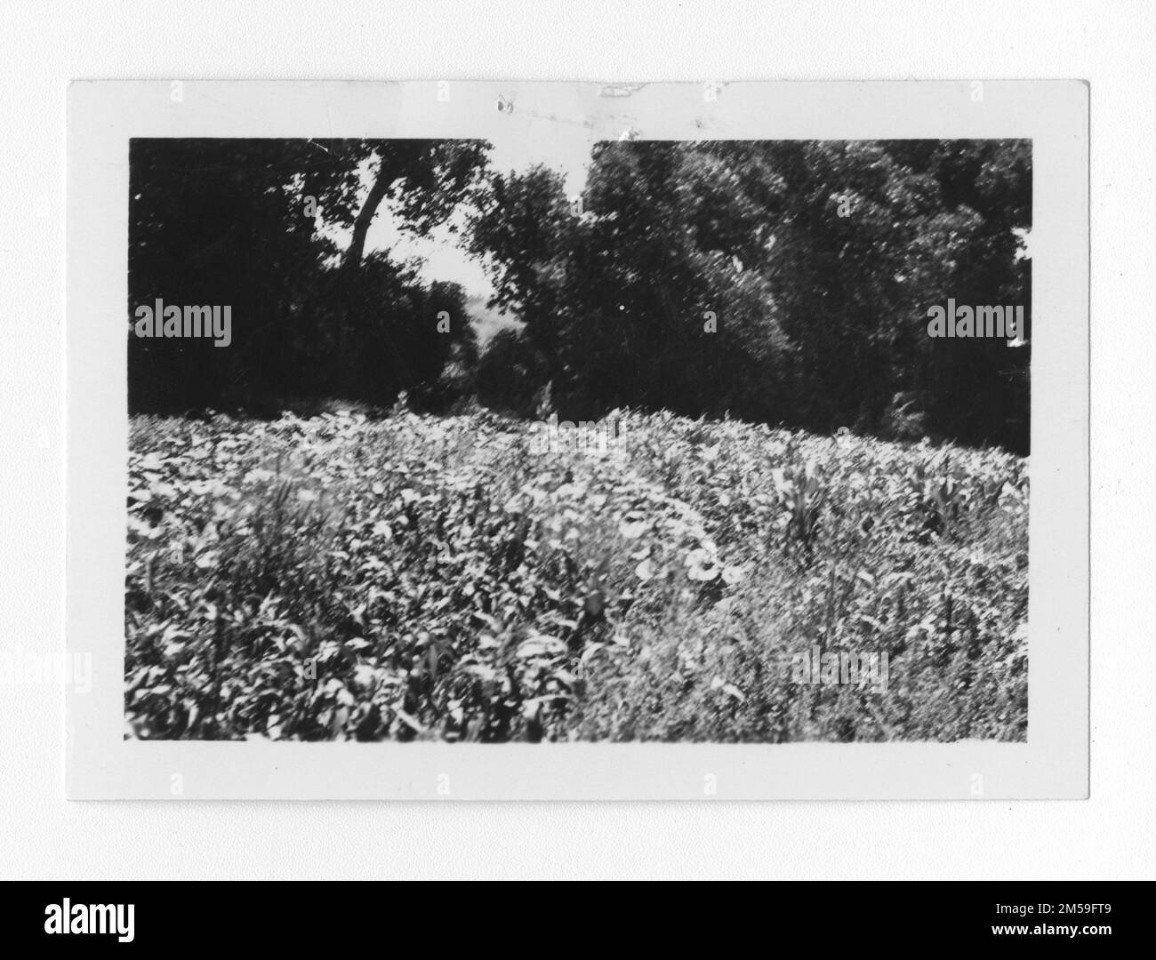 Didascalia originale: '(negativa) casa del medico.'. 1936 - 1942. Regione del Pacifico (Riverside, CA). Stampa fotografica. Dipartimento dell'interno. Ufficio degli affari indiani. Agenzia di missione. 11/15/1920-6/17/1946. Fotografie Foto Stock