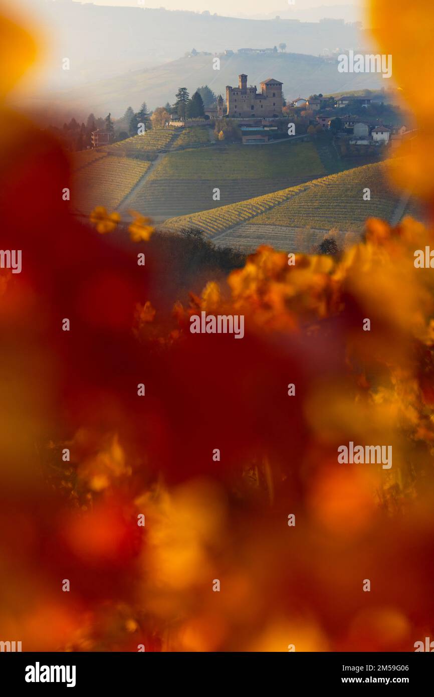 Grinzane Cavour incorniciato dai colori dell'autunno al tramonto, Cuneo, Langhe e Roero, Piemonte, Italia, Europa meridionale Foto Stock