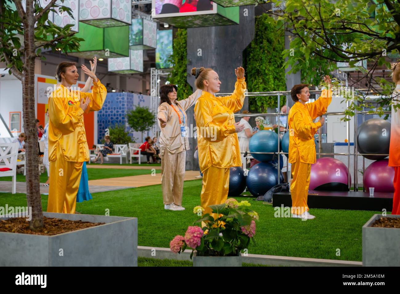 Gruppo di persone che fanno il qigong esercizio insieme in mostra Foto Stock