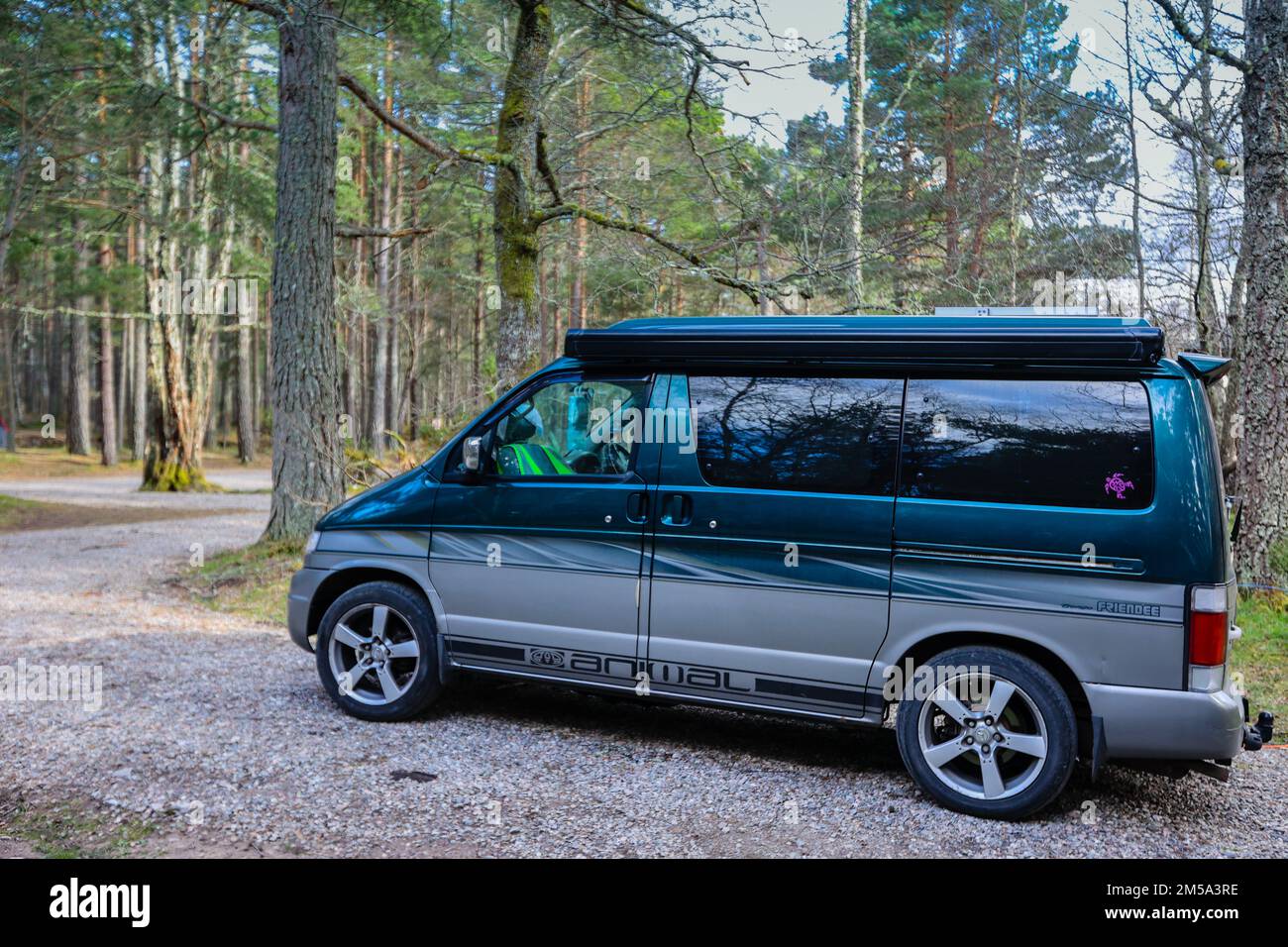 Mazda,Bongo,Friendee,campervan,van,vanlife,foresta,vicino,Aviemore,Highlands,Scozia,Scottish,GB,Gran Bretagna,britannica,Europa,europea, Foto Stock