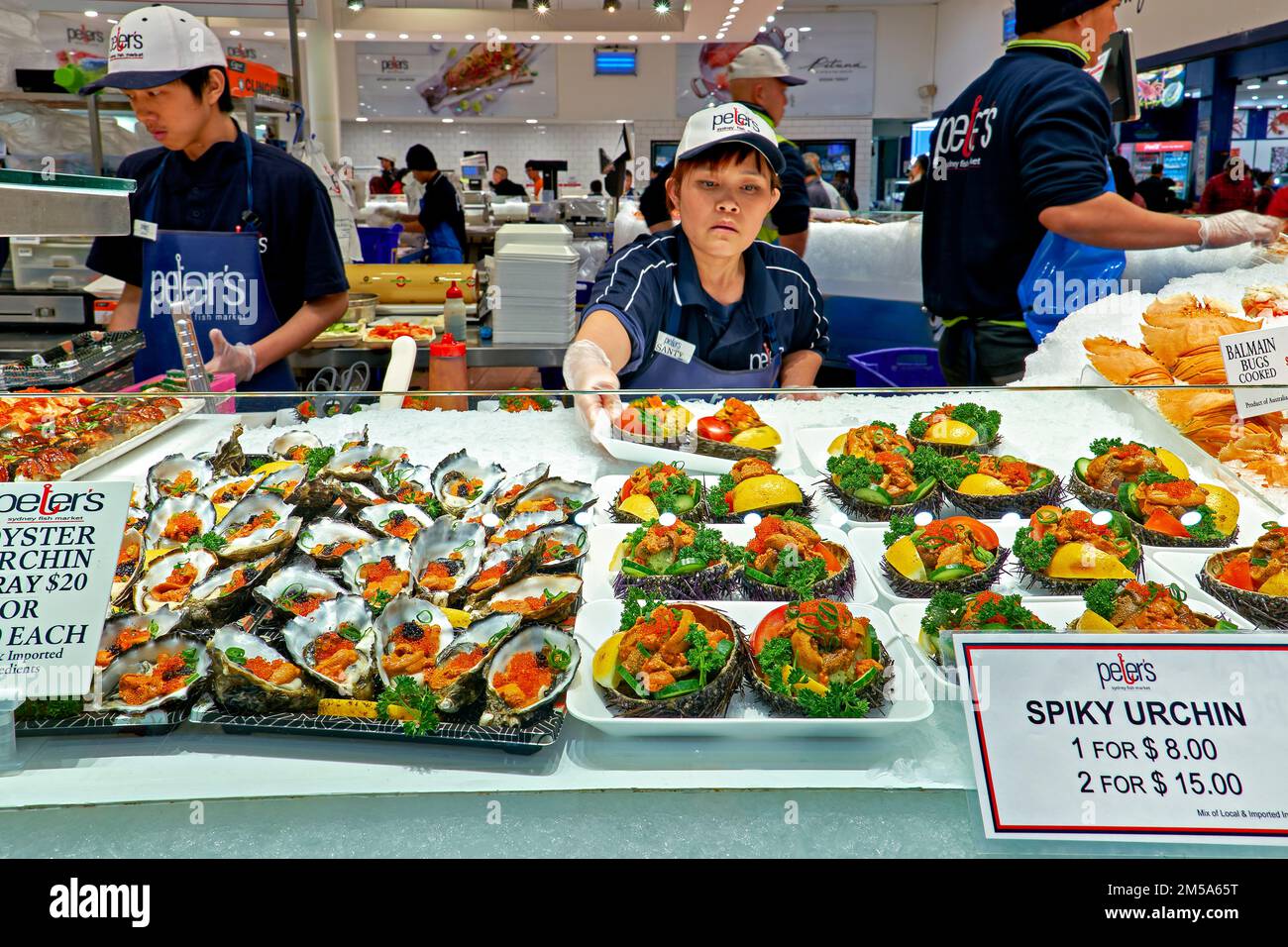 Sydney. Nuovo Galles del Sud. Australia. Il mercato del pesce. Riccio spiky Foto Stock