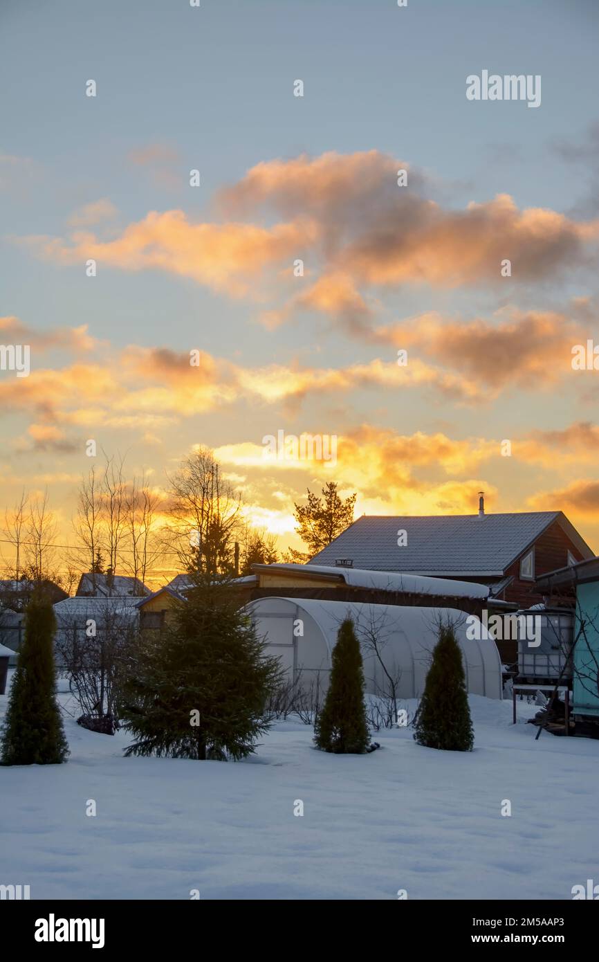 Sole alba su un terreno giardino nel mese di dicembre. Foto Stock