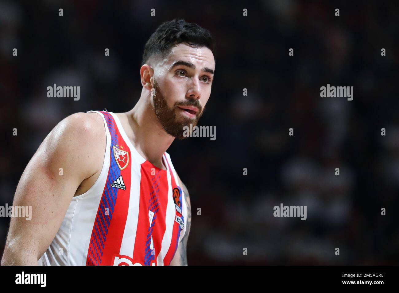 Belgrado, Serbia, 15 dicembre 2022. Luca Vildoza di Crvena Zvezda MTS Belgrado reagisce durante la partita Eurolega della Turkish Airlines del 2022/2023 tra Crvena Zvezda MTS Belgrado e Emporio Armani Milano del EA7 presso la Sala Nikolic di Aleksandar a Belgrado, in Serbia. Dicembre 15, 2022. Credito: Nikola Krstic/Alamy Foto Stock