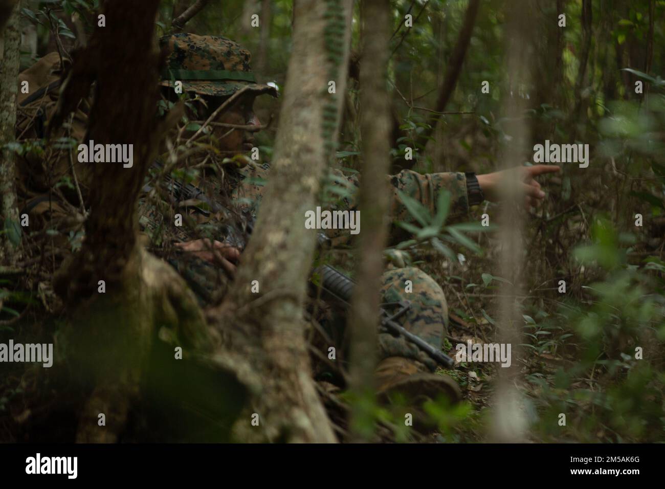 STATI UNITI Marine Lance CPL. Able Martinez, un tecnico di assistenza idrica con Battle Logistics Battalion 4, Combat Logistics Regiment 3, 3rd Marine Logistics Group, stabilisce la sicurezza intorno al sito di purificazione dell'acqua durante l'esercizio di Jungle Warfare 22, 16 febbraio 2022, Camp Gonsalves, Okinawa, Giappone. JWX 22 è un'esercitazione di formazione sul campo su larga scala incentrata sull'utilizzo delle capacità integrate di partner congiunti e alleati per rafforzare la consapevolezza, la manovra e gli incendi in tutti i settori in un ambiente marittimo distribuito. Foto Stock