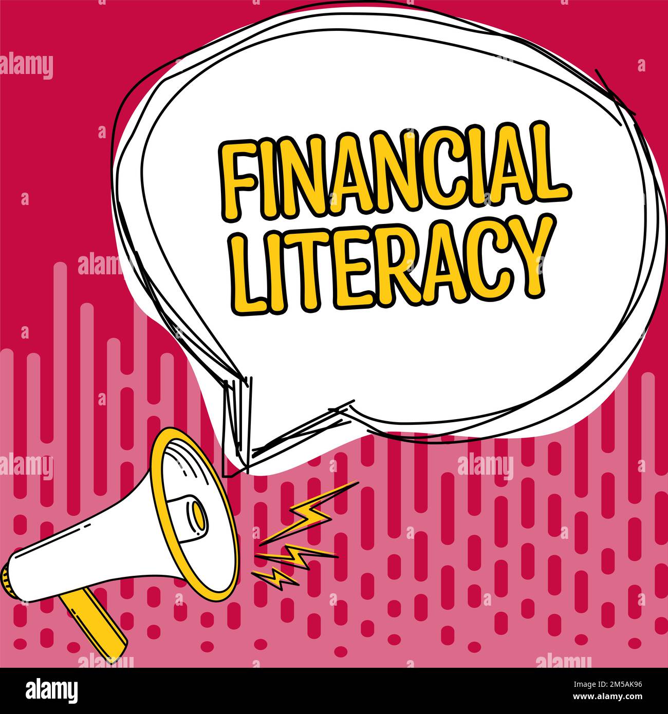 Scrittura che visualizza il testo alfabetizzazione finanziaria. Concetto di business capire e conoscere come funziona il denaro Foto Stock