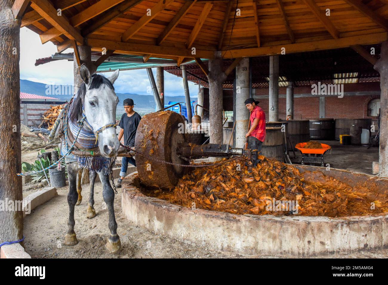 Un cavallo tira una gigantesca ruota di pietra che frantuma i cuori di agave arrostiti in una distilleria mezcal artigianale, lo Stato di Oaxaca, Messico Foto Stock