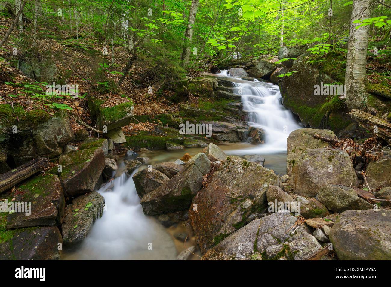 Cascata su un ruscello senza nome in Franconia Notch, New Hampshire durante i mesi di primavera. Foto Stock