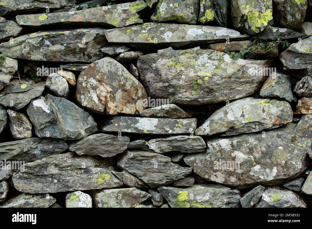 Antico muro di pietra a secco Cornovaglia primo piano. Foto Stock