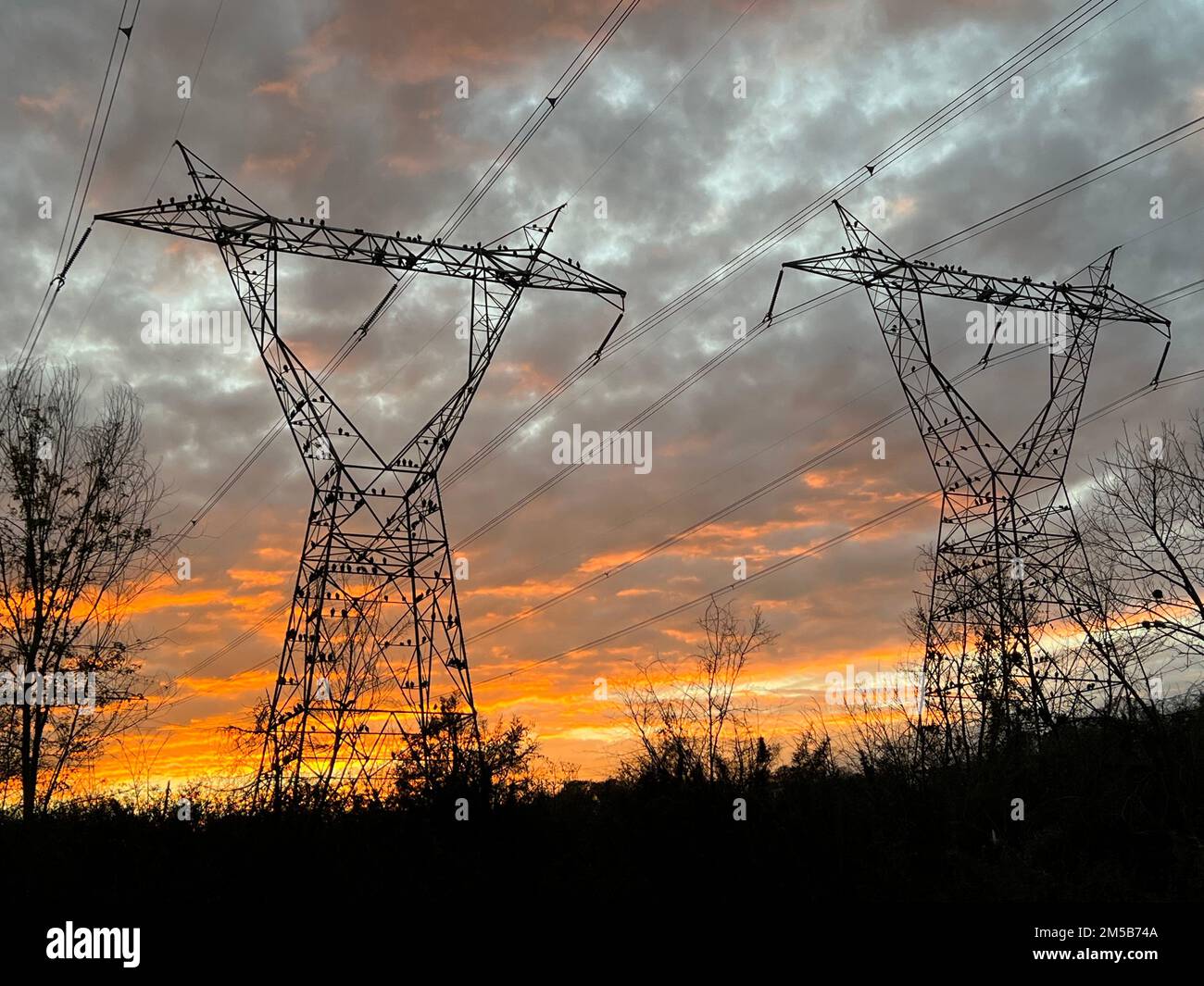 Torri di trasmissione dalle silhouette con uccelli che ruggono durante un tramonto arancione Foto Stock