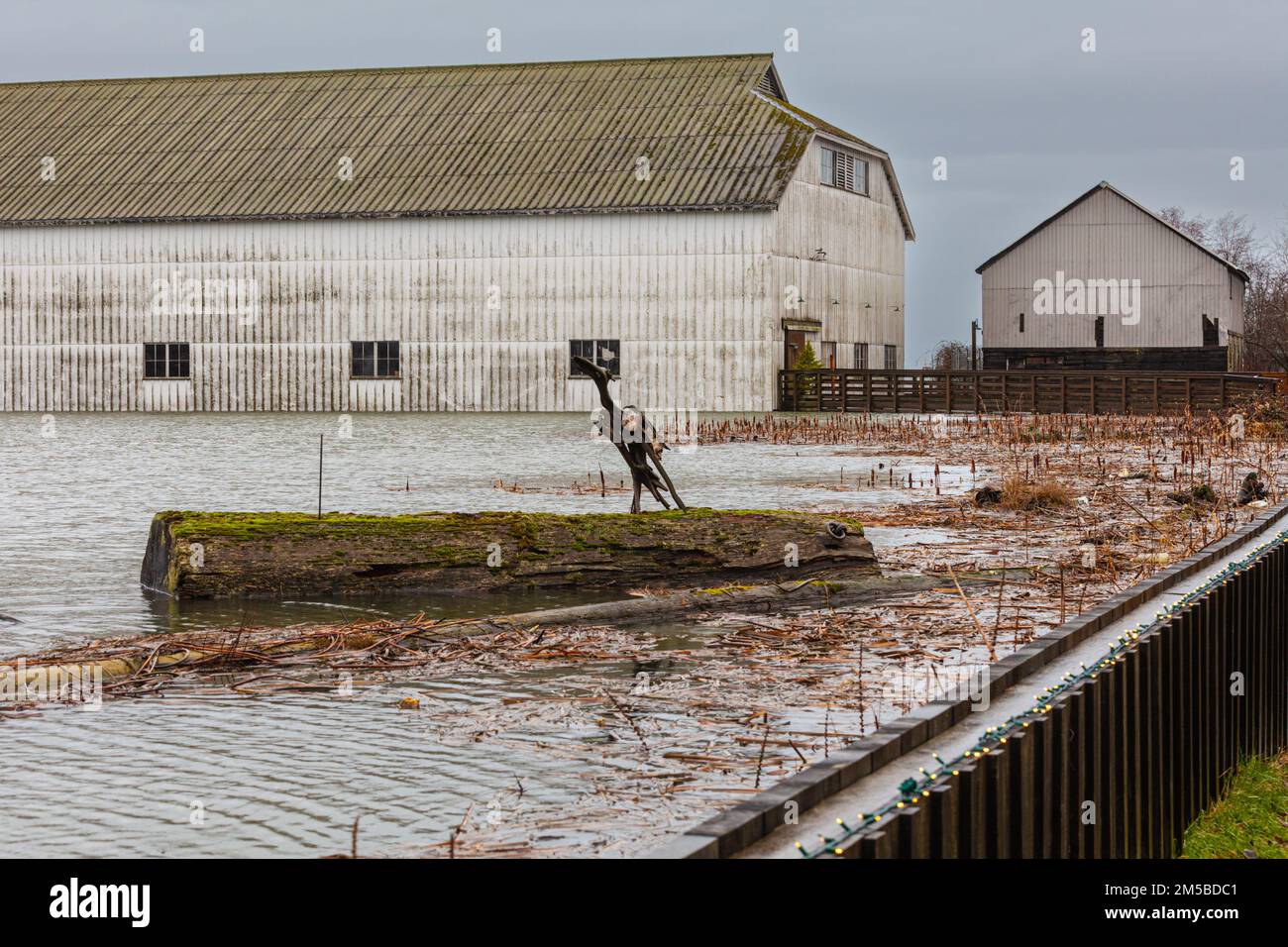 Vasta inondazione al loft netto lungo il lungomare di Steveston nella British Columbia Canada Foto Stock