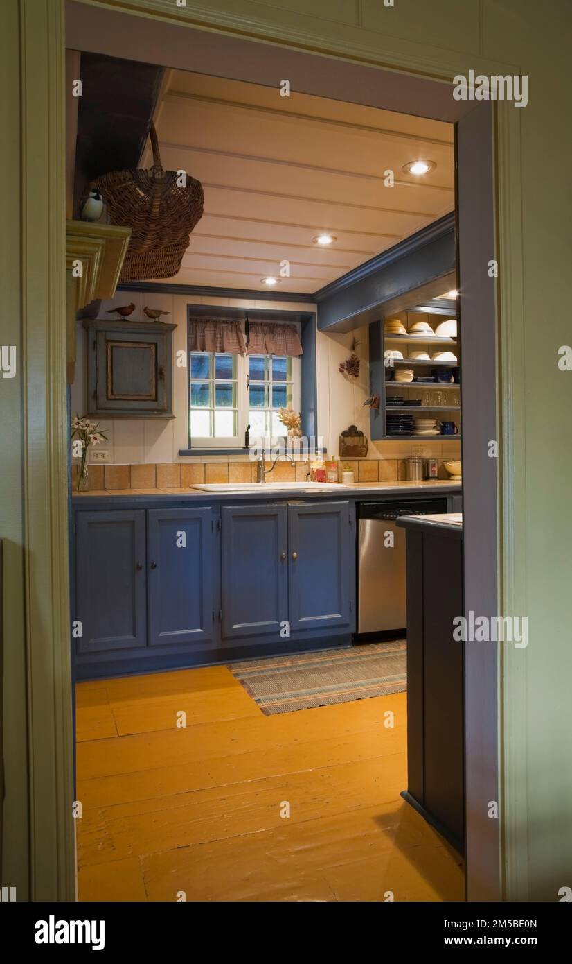 Porta dipinta di verde oliva e armadi blu in cucina con pavimenti dipinti di giallo all'interno di una vecchia casa in stile regime francese del 1722. Foto Stock