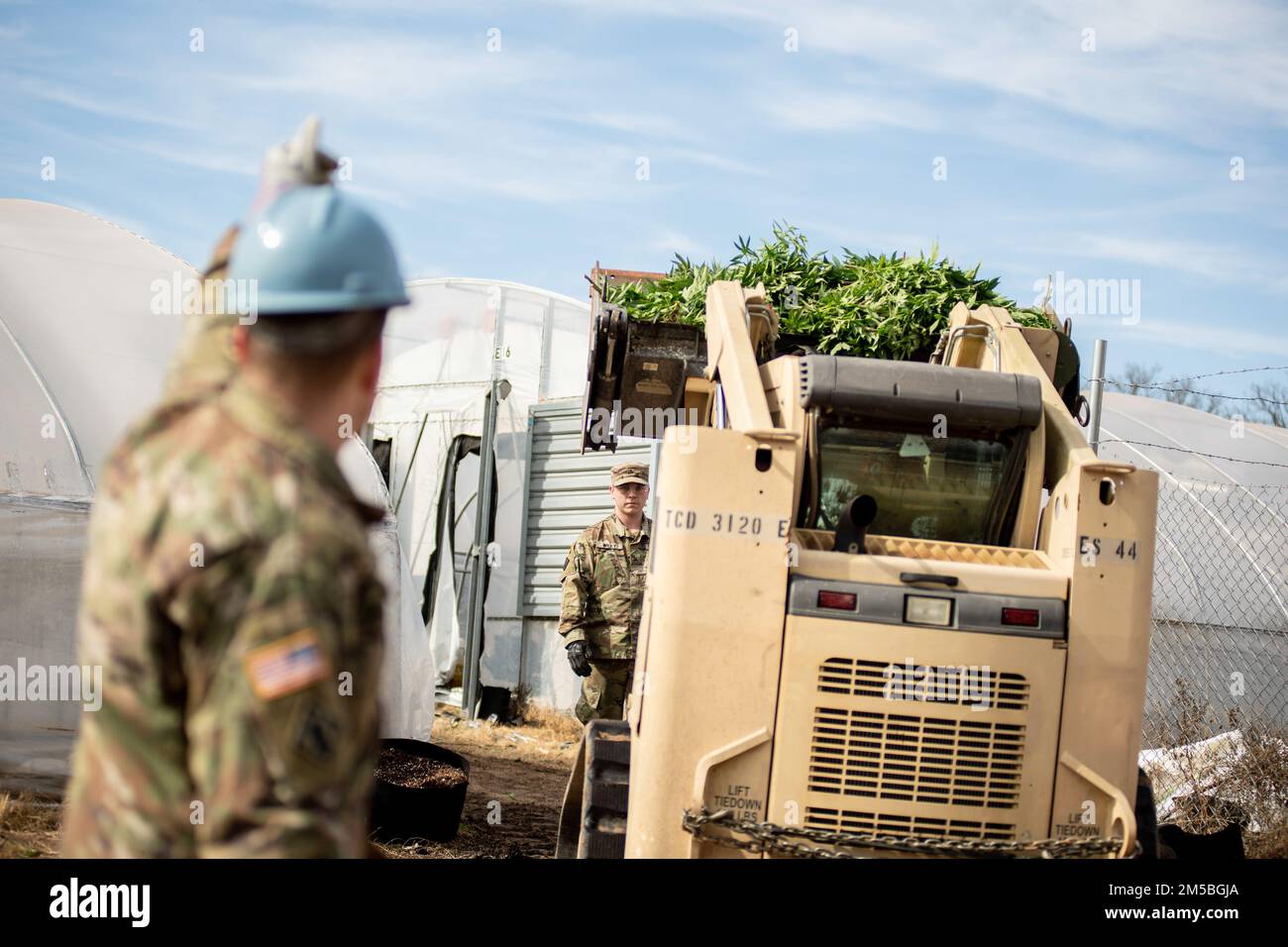 I soldati della guardia nazionale dell'esercito dell'Oklahoma usano una minipala per spostare le piante di marijuana durante un'operazione multi-agenzia guidata dall'Oklahoma Bureau of Narcotics in un luogo di crescita illegale nella regione meridionale dell'Oklahoma, il 22 febbraio 2022. Su richiesta dell'Oklahoma Bureau of Narcotics, tramite l'Oklahoma Office of Emergency Management, Il governatore Stitt ha autorizzato la Guardia Nazionale dell'Oklahoma ad attivare i membri della Guardia per fornire assistenza tecnica e logistica e per fornire esperienza nell'identificazione di materiali pericolosi associati al sequestro di una serie di marijuana illegale o non registrata Foto Stock