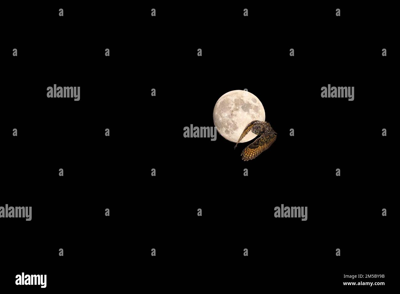 Cielo serale di luna piena immagini e fotografie stock ad alta risoluzione  - Alamy