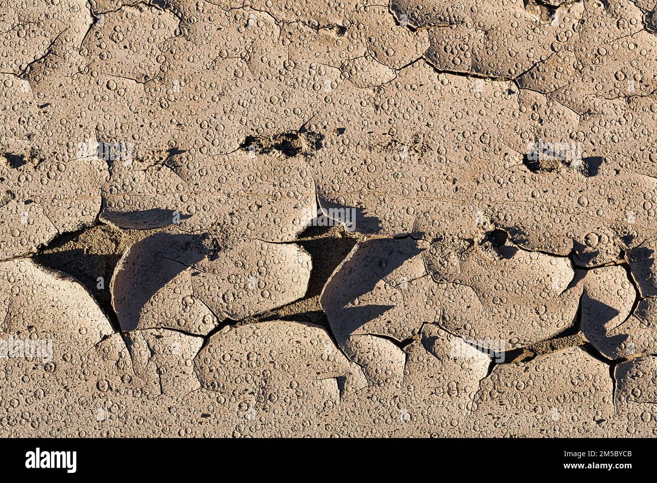 Terreno arato, crepe, modelli, tracce di gocce di pioggia dopo il disastro alluvione in Almeria, tempesta 2012, Andalusia, Spagna Foto Stock